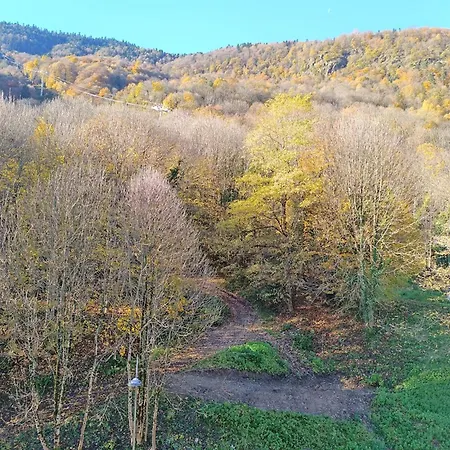 Lejlighed La Bulle De Luchon, Proche Telecabine, 4 Pers
